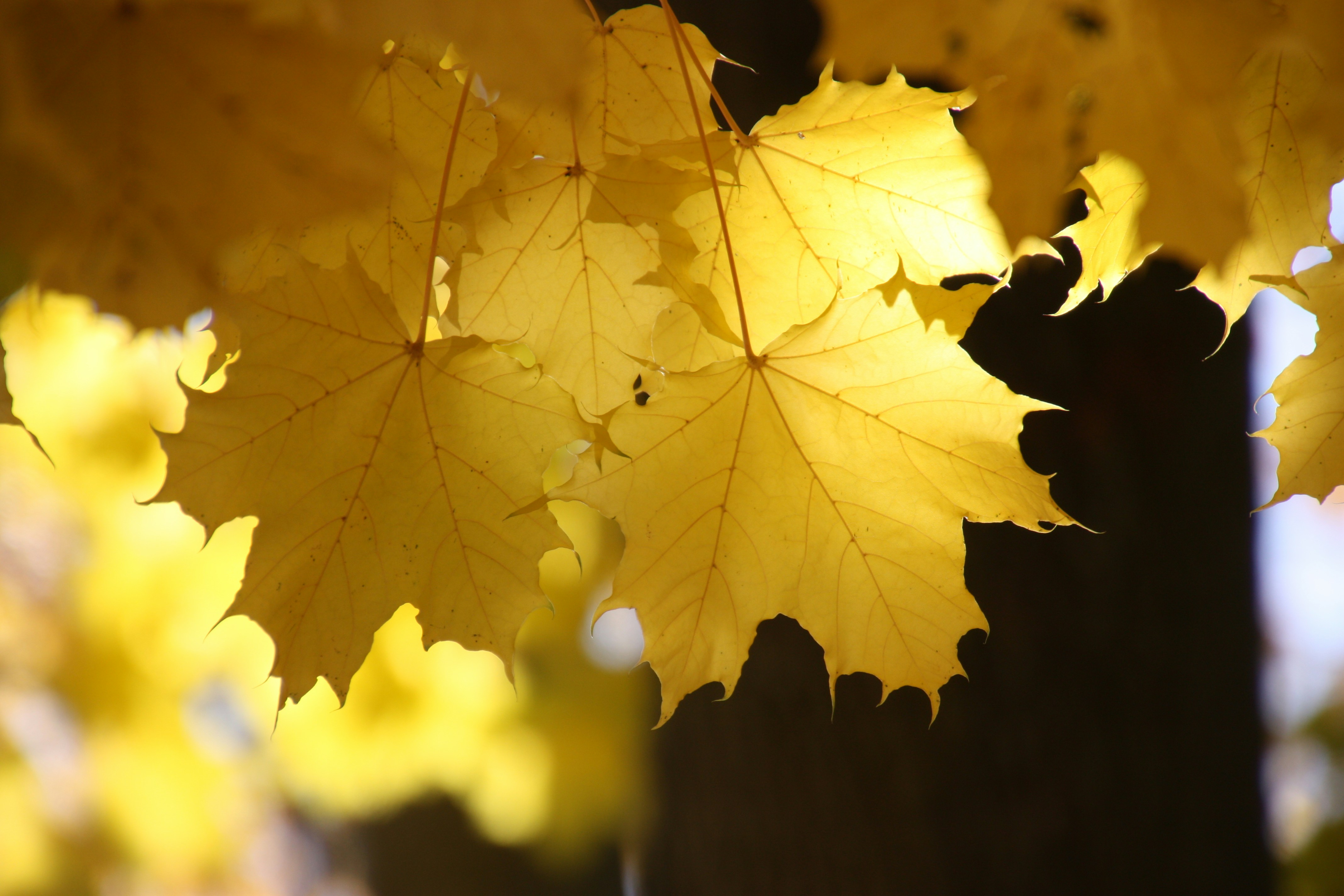 Photo by anthonyaird