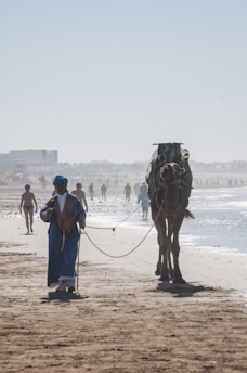 camel and people walking at the beach during day