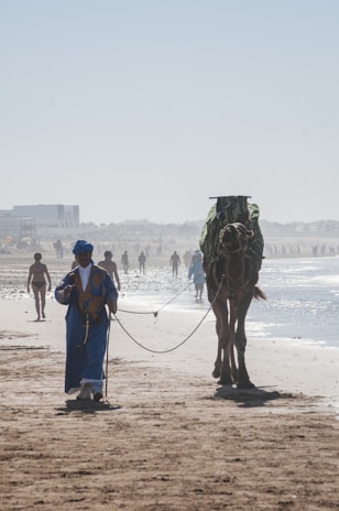 camel and people walking at the beach during day