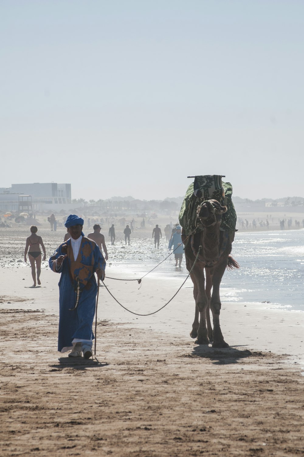 camelo e pessoas caminhando na praia durante o dia