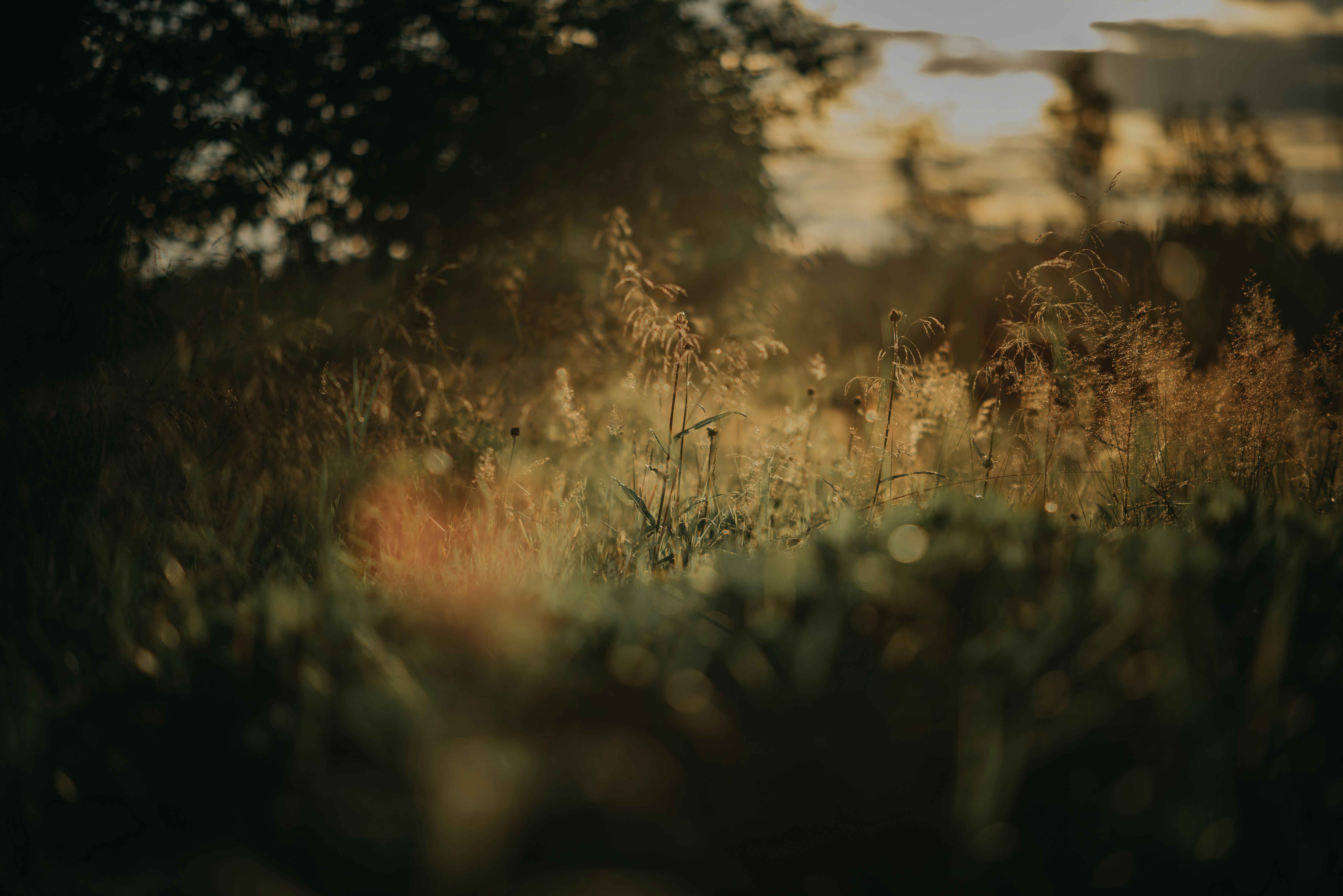 Photo by itfeelslikefilm