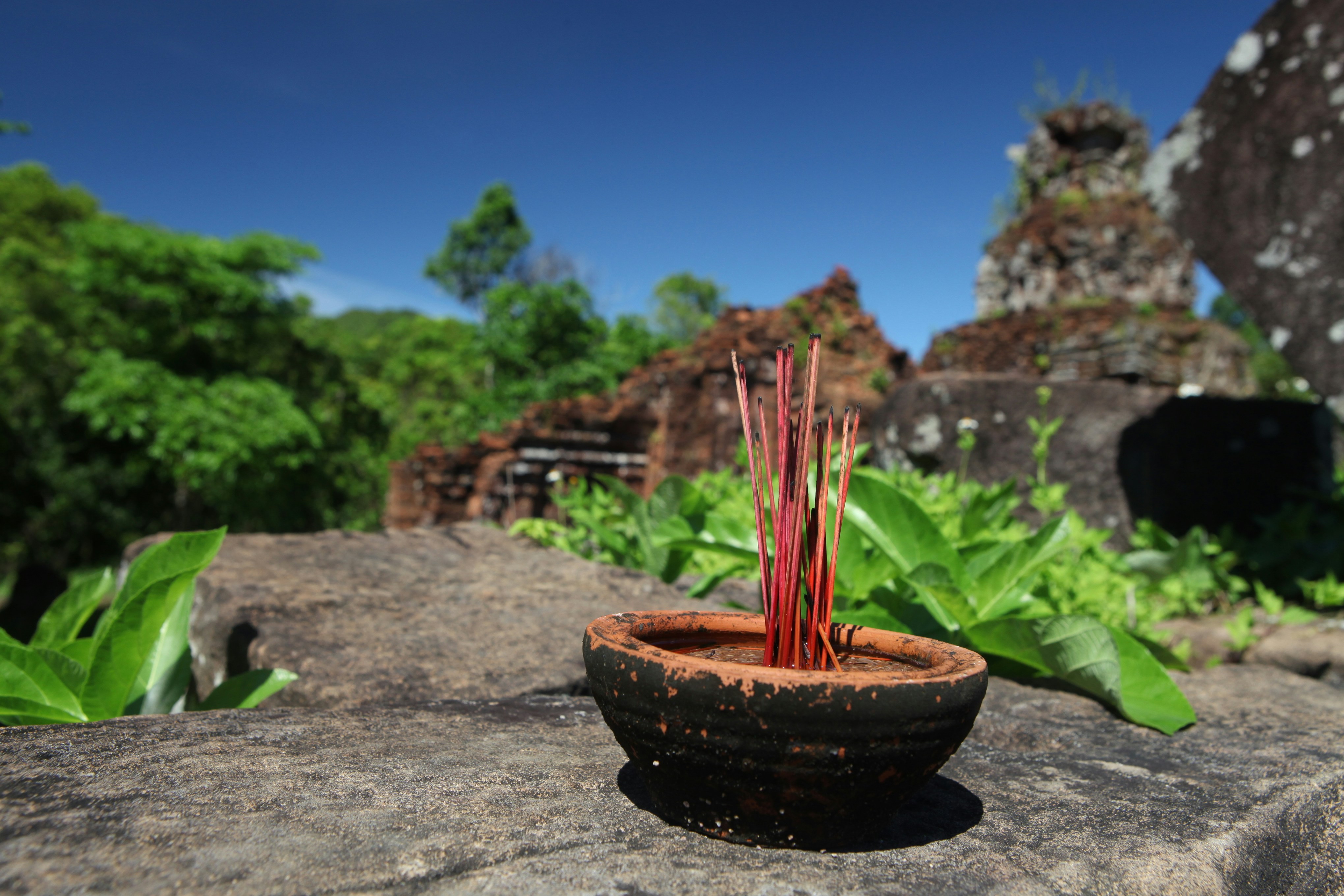 Pure Himalayan Shilajit