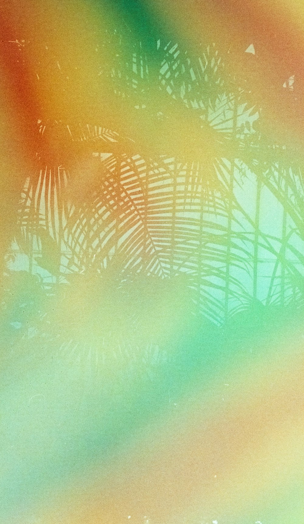 a blurry image of a palm tree with a rainbow colored background