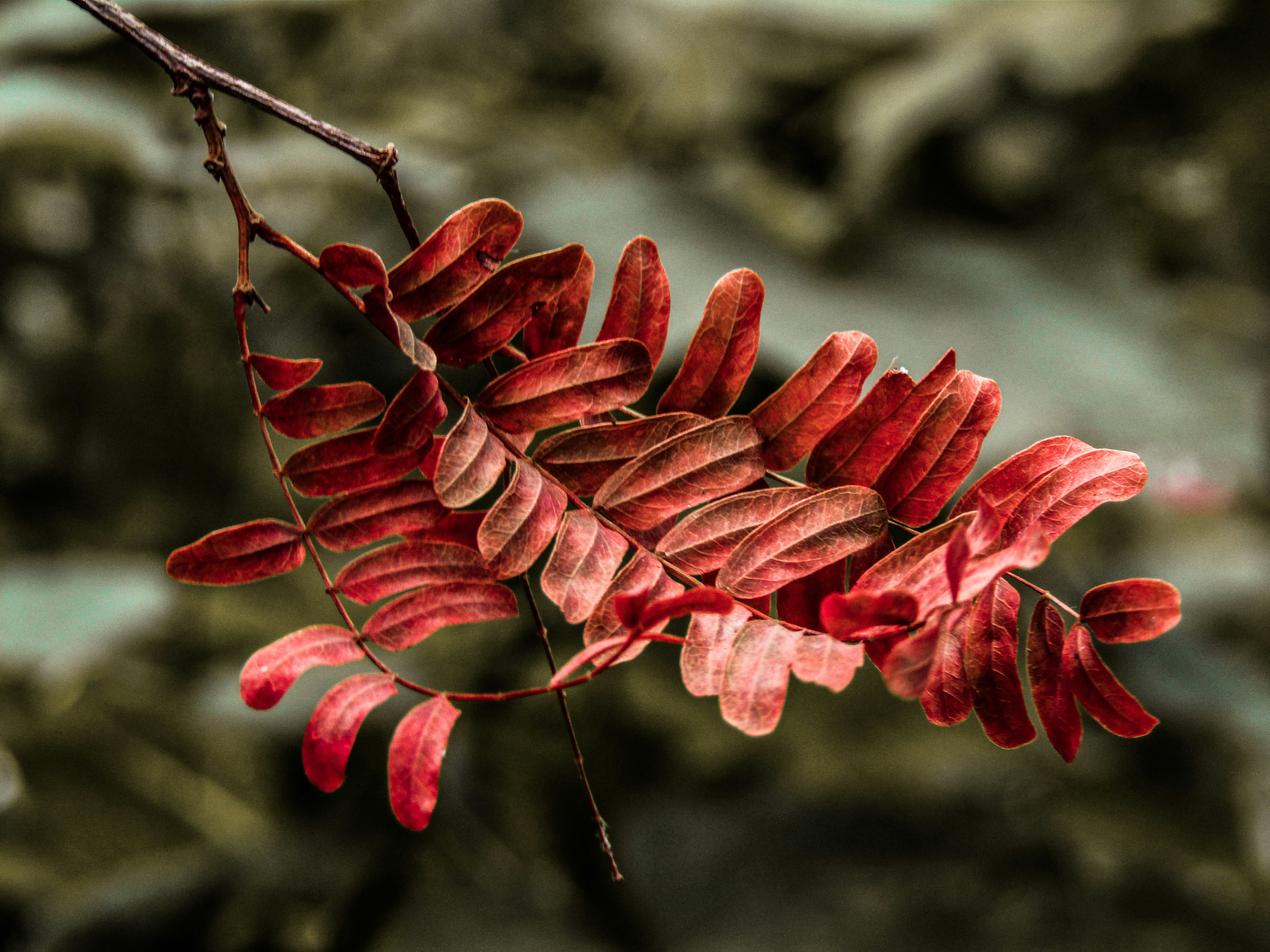 Photo by paz_piczg20