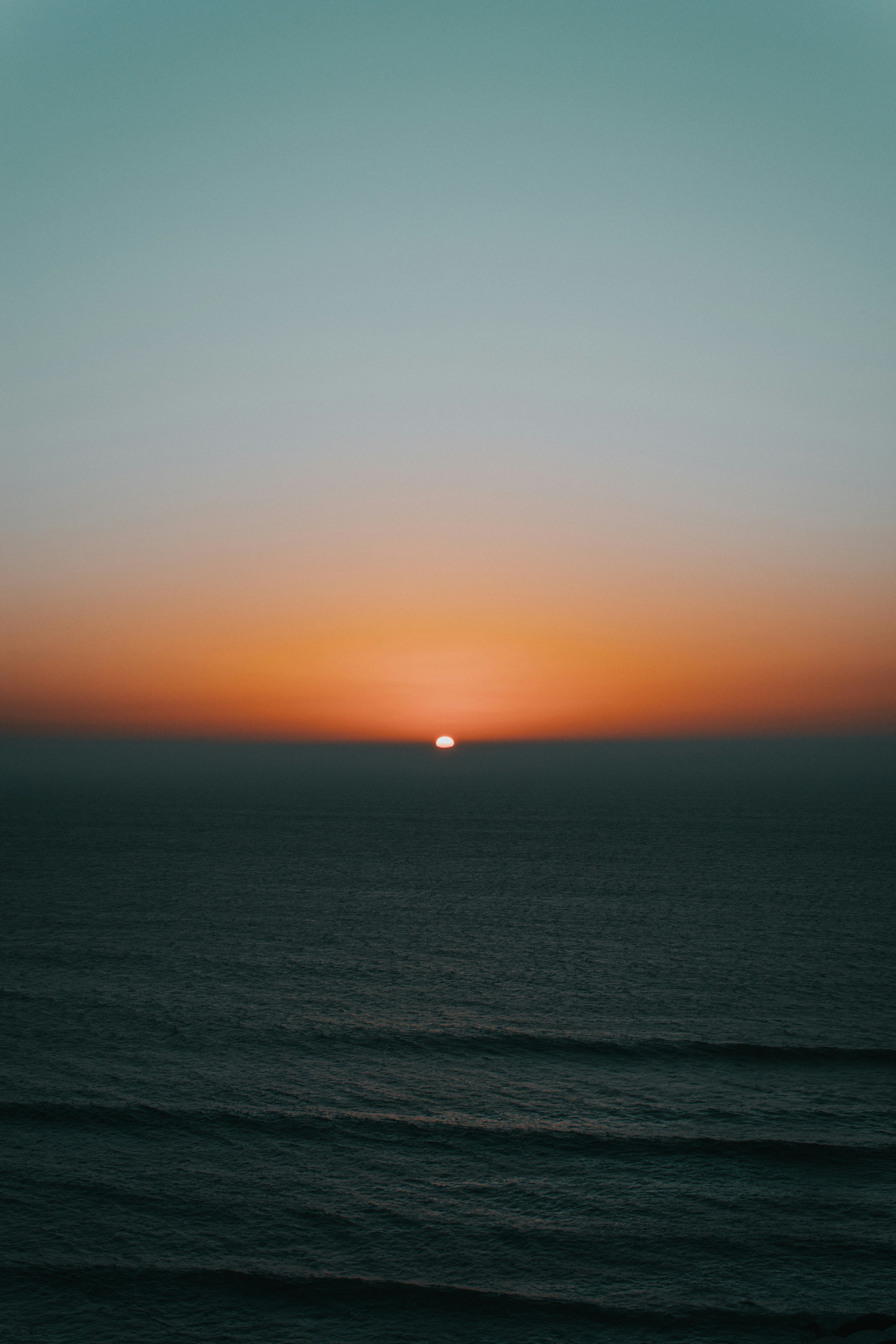 Photo by afonsocoutinhoo