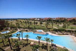 A luxurious resort area featuring a large, serene swimming pool surrounded by numerous palm trees. The pool is shaped uniquely with a round section on one end and an oval pool nearby. Well-maintained lawns and garden areas with tropical vegetation are visible. In the distance, there are landscaped golf courses and a picturesque view of the ocean horizon under a clear blue sky. Modern, colorful buildings are seen in the background.