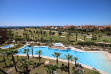 A luxurious resort area featuring a large, serene swimming pool surrounded by numerous palm trees. The pool is shaped uniquely with a round section on one end and an oval pool nearby. Well-maintained lawns and garden areas with tropical vegetation are visible. In the distance, there are landscaped golf courses and a picturesque view of the ocean horizon under a clear blue sky. Modern, colorful buildings are seen in the background.