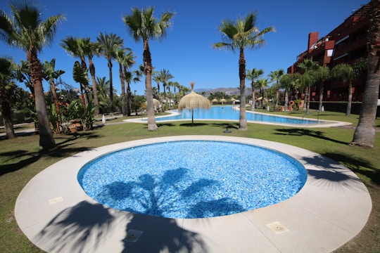 A tranquil outdoor setting featuring a circular swimming pool surrounded by palm trees and manicured grass. In the background, there is a larger pool with a thatched sunshade, creating a serene holiday atmosphere under a clear blue sky.