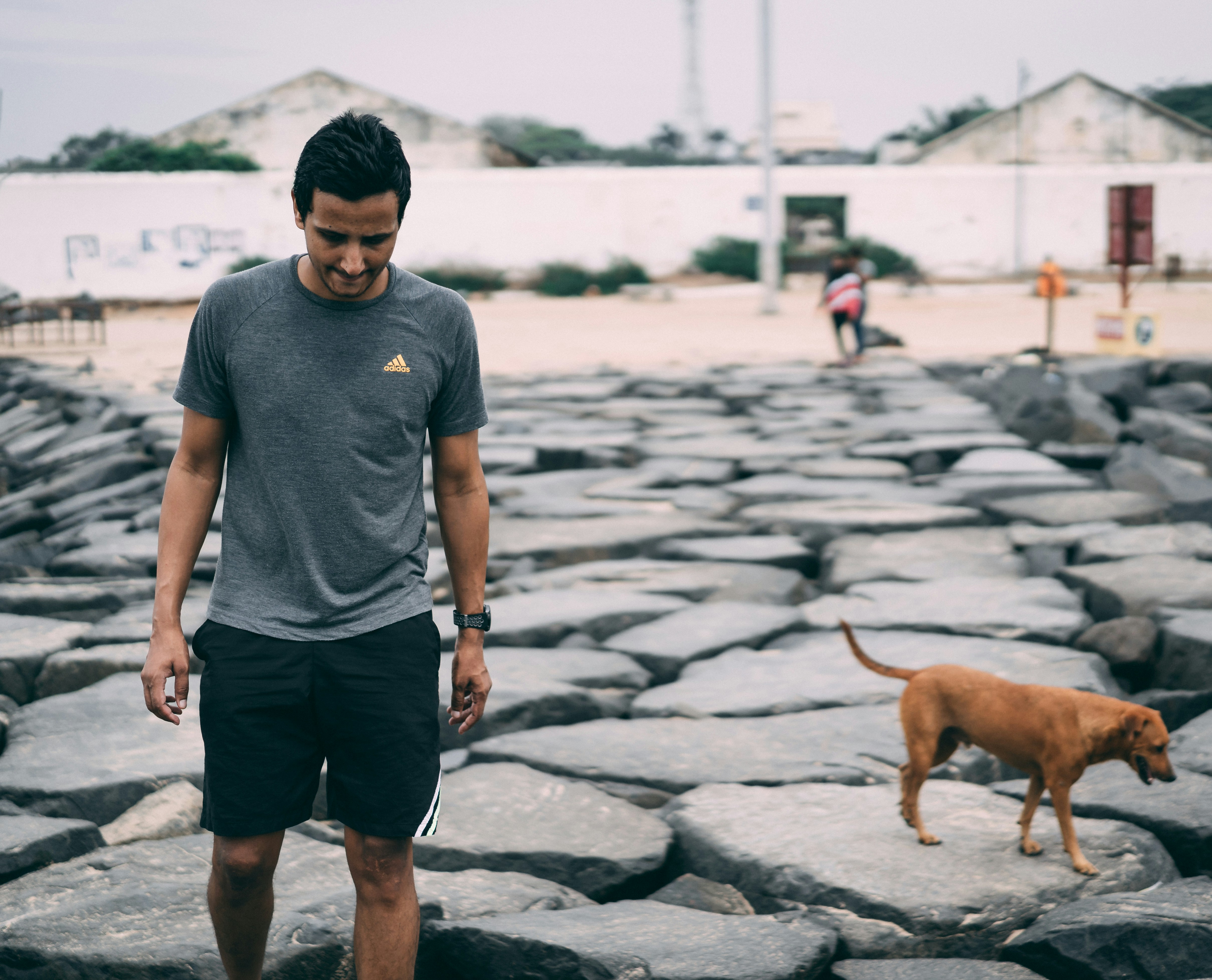 犬のそばに立つ男性の写真 Unsplashで見つけるグレーの無料写真