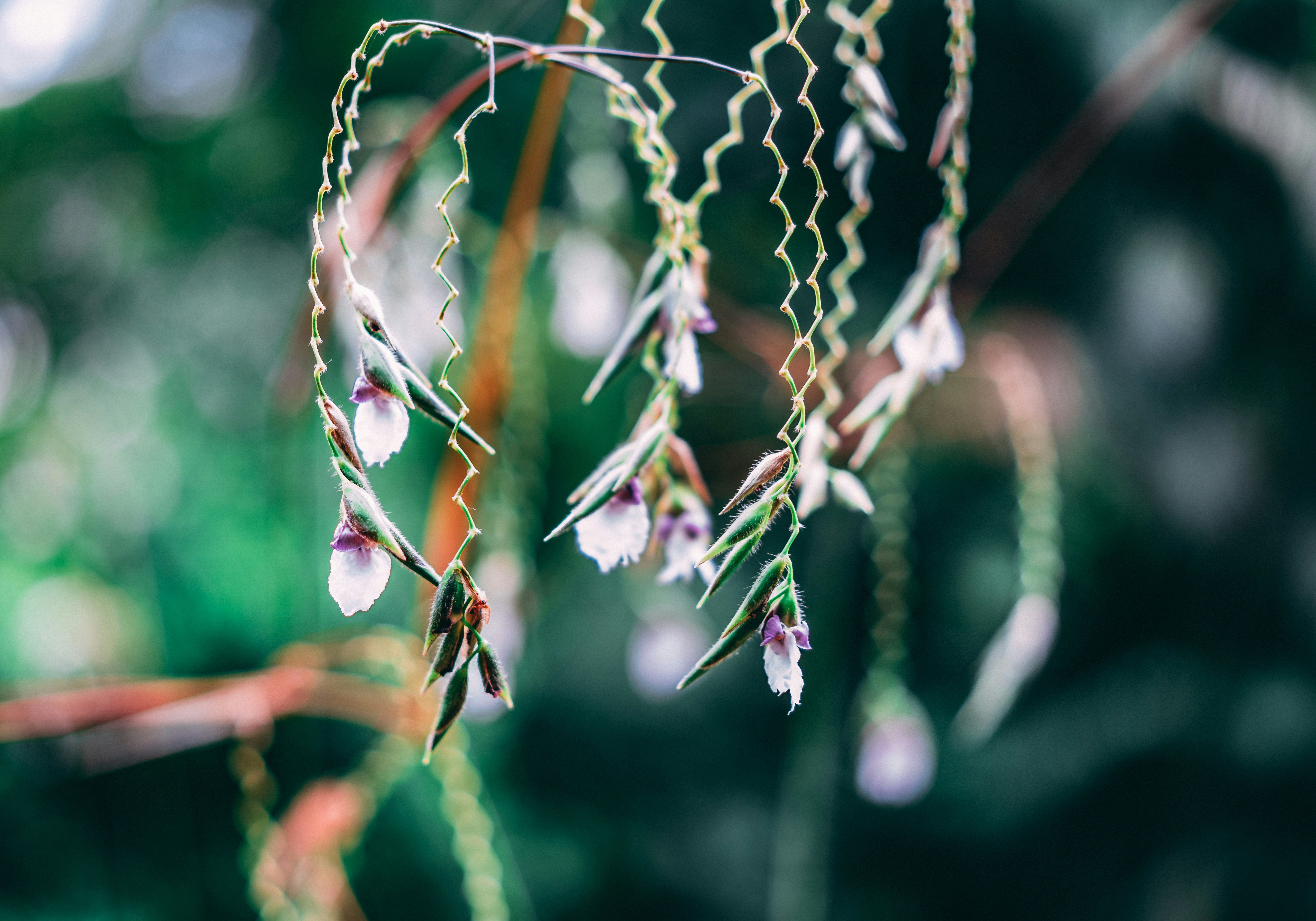 Photo by suicide_chewbacca