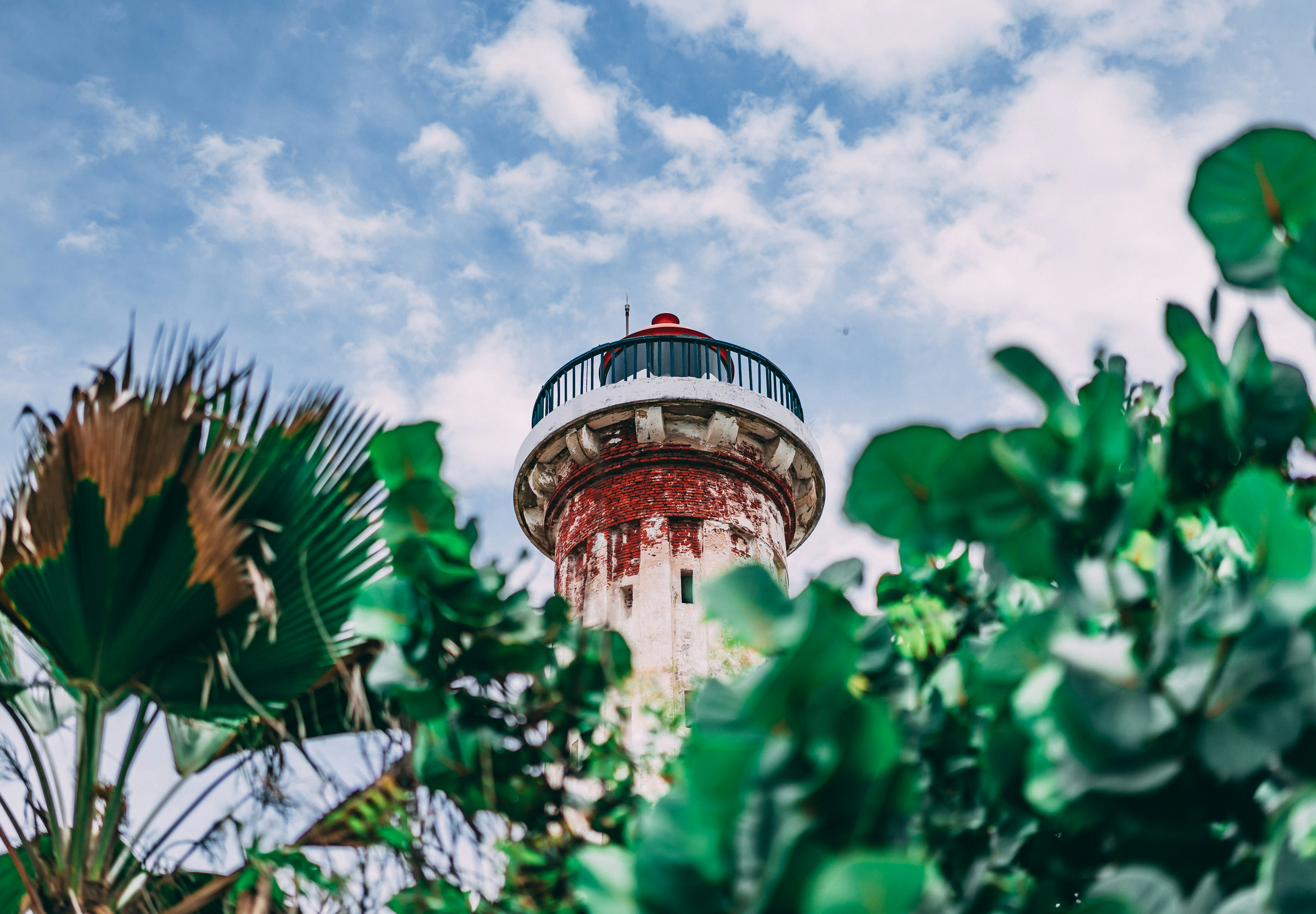 Photo by suicide_chewbacca