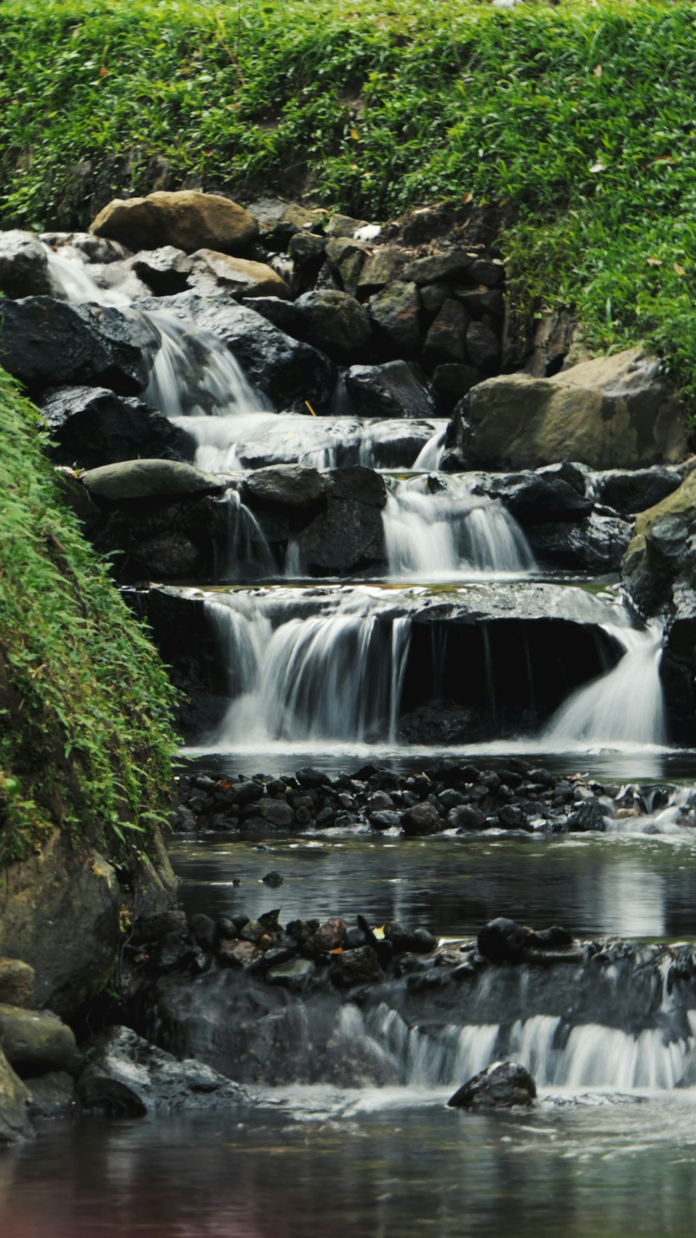 flowing waterfalls between vegetation during daytime