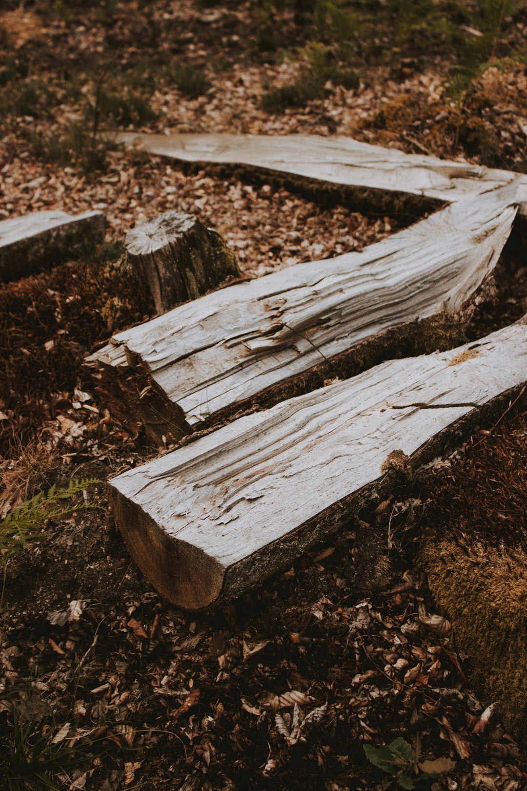 brown lumber on brown grass