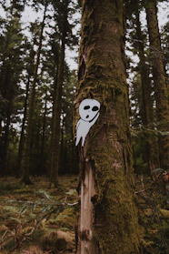 Whimsical cartoon of a magical forest with friendly animals inviting children to explore stories