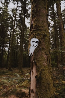 A dense forest with tall, moss-covered trees. A playful, ghost-like cutout with a simple face is attached to one of the trees, introducing a whimsical element to the natural setting.
