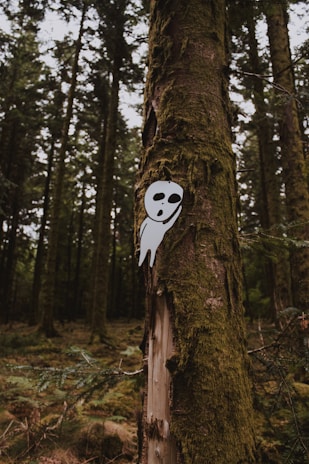 A dense forest with tall, moss-covered trees. A playful, ghost-like cutout with a simple face is attached to one of the trees, introducing a whimsical element to the natural setting.