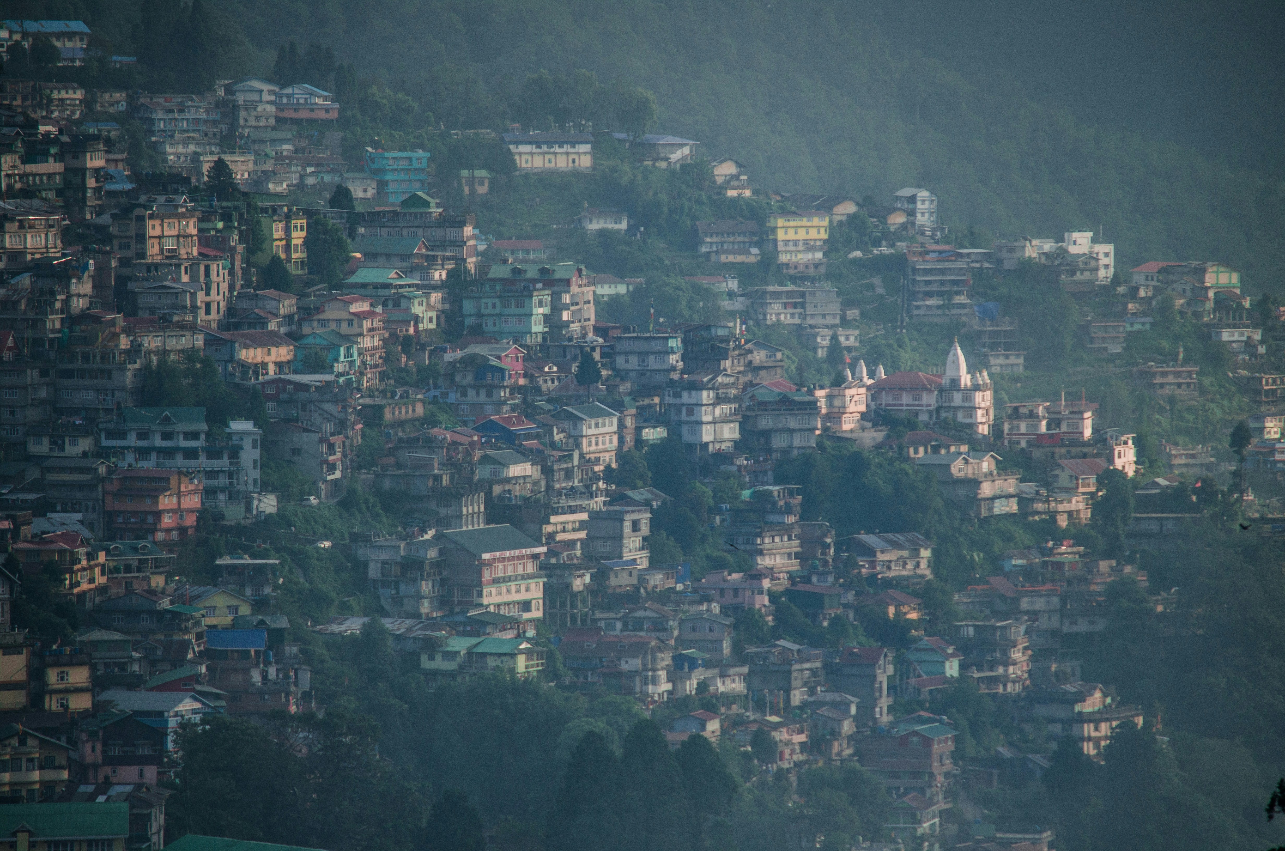 Photo by sourosouvik