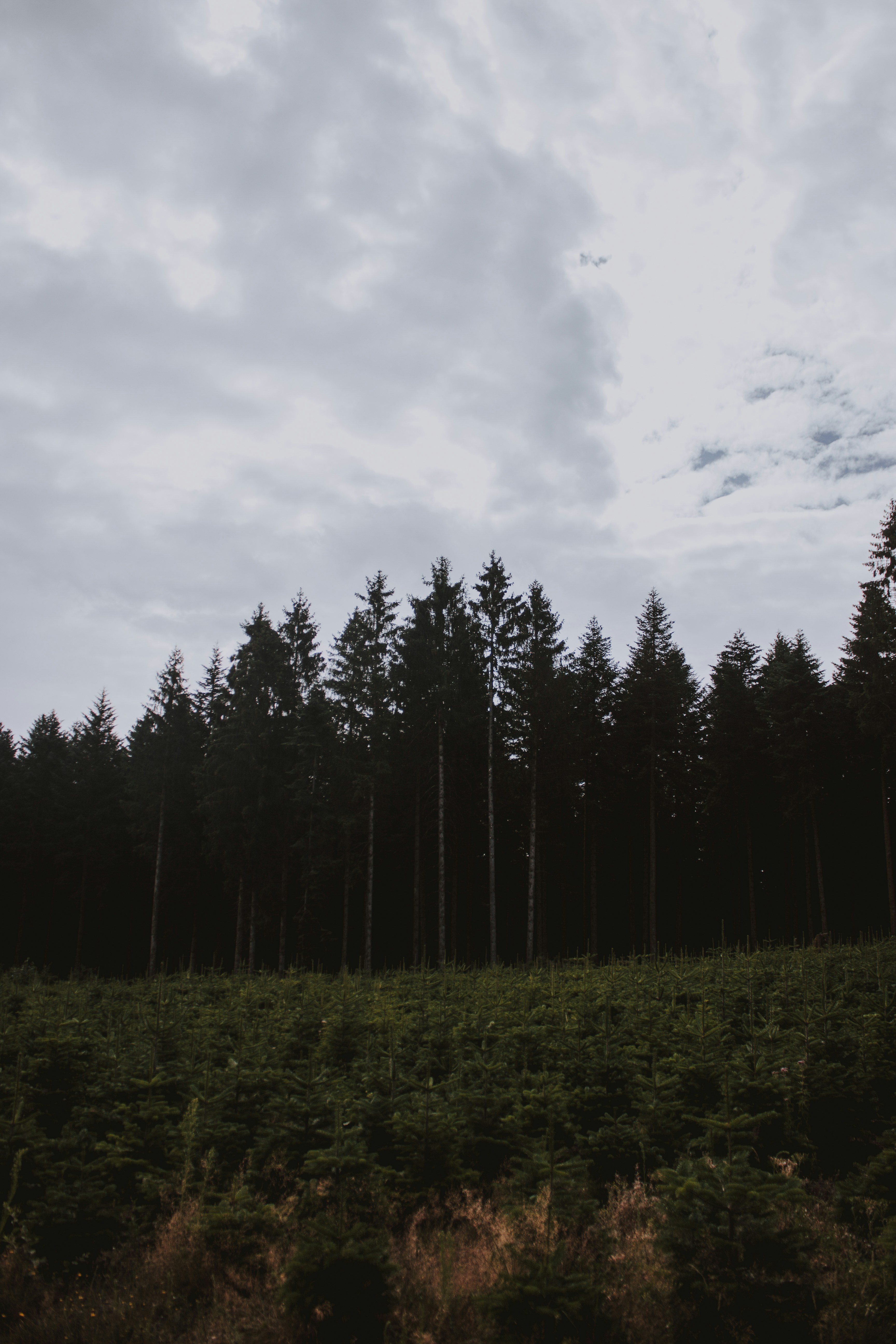 Photo by matreding