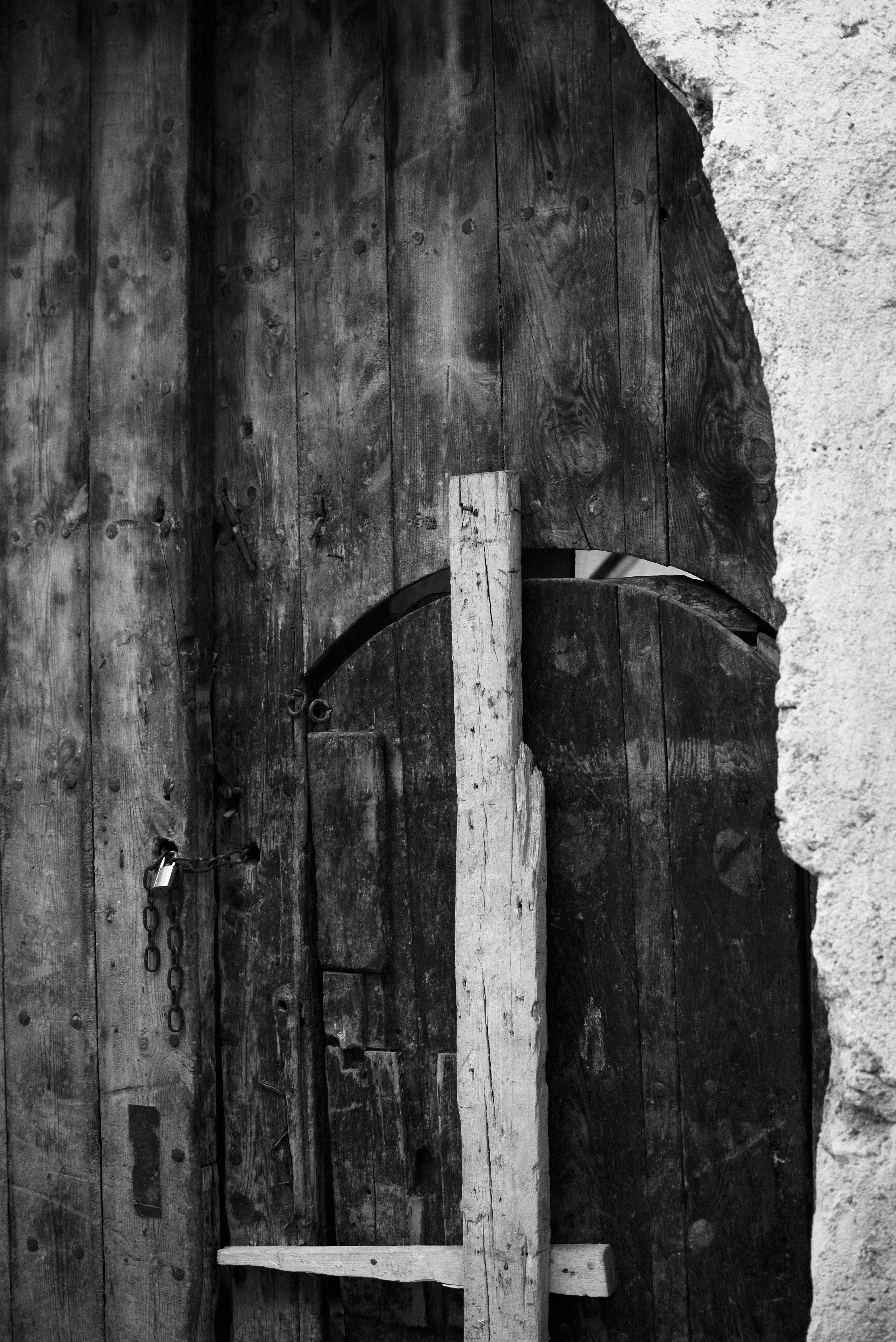 Photo by jazelphotography