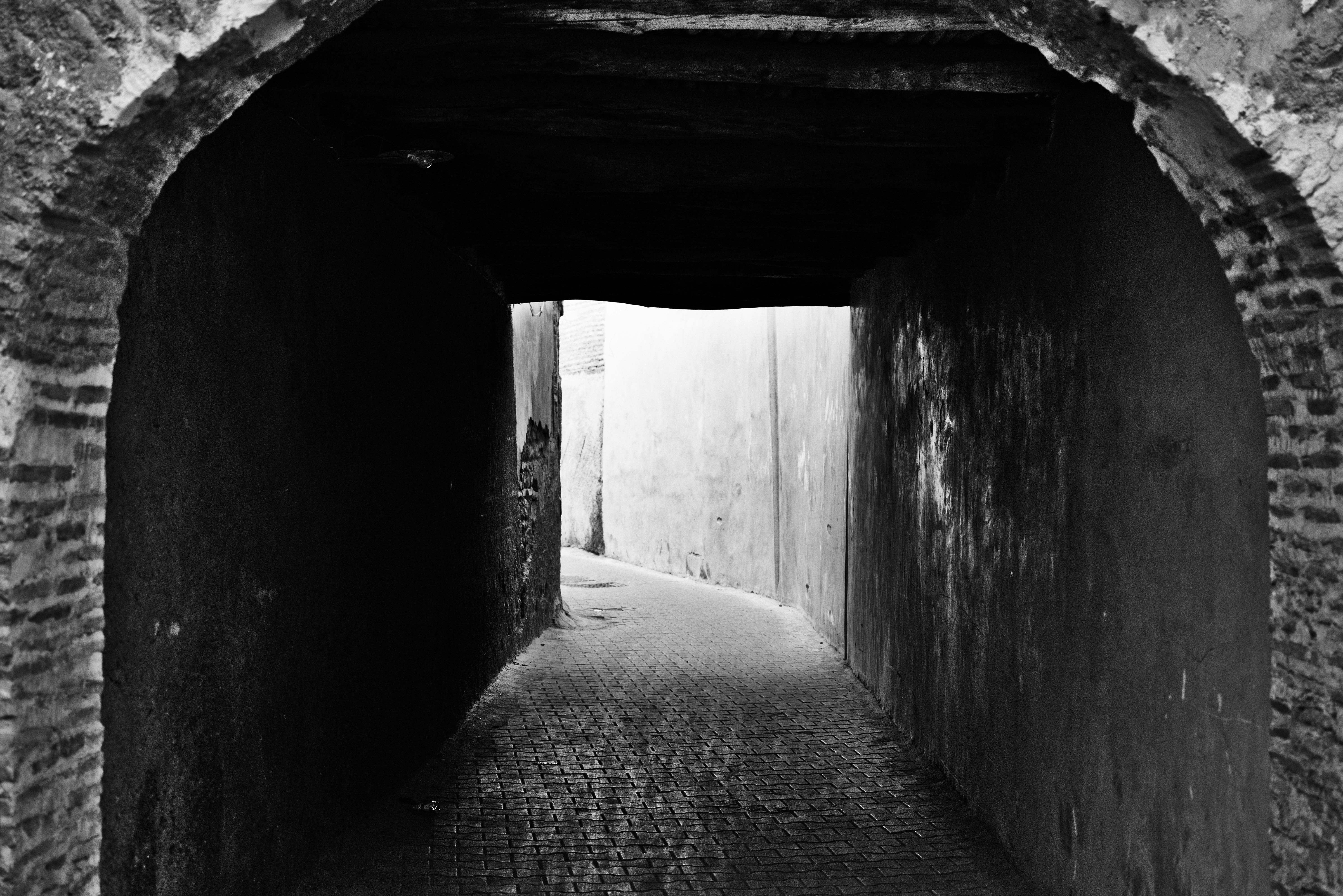 Photo by jazelphotography