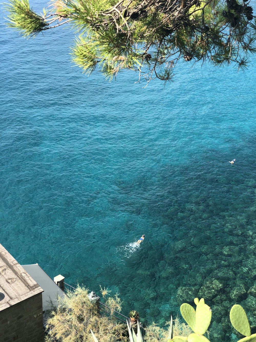 浜辺に浮かぶ女性のハイアングル写真