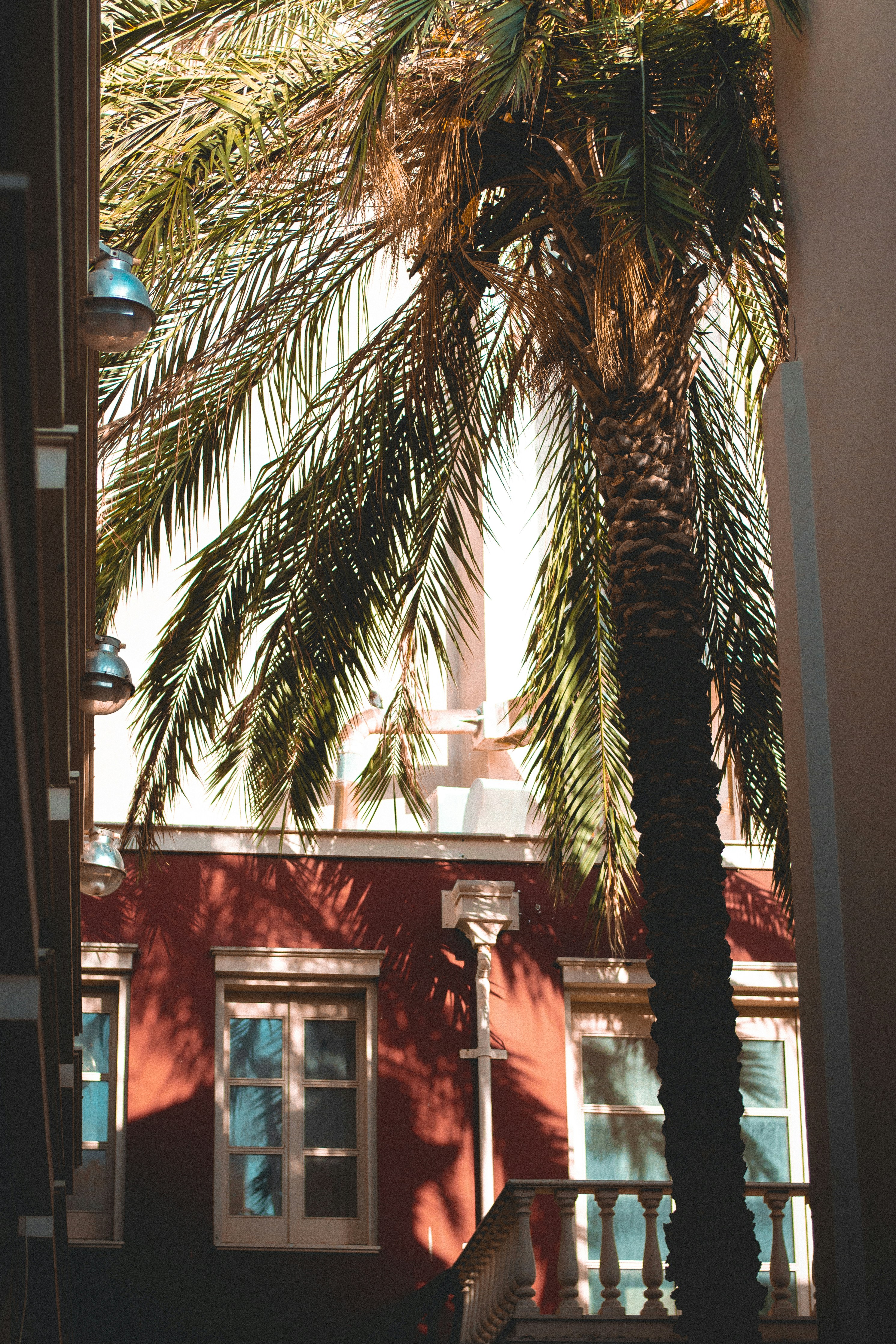 Photo by ogurtsovadarya