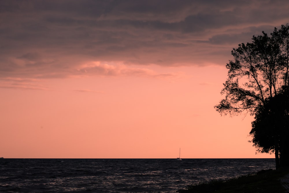 sailboat in sea during golden hour