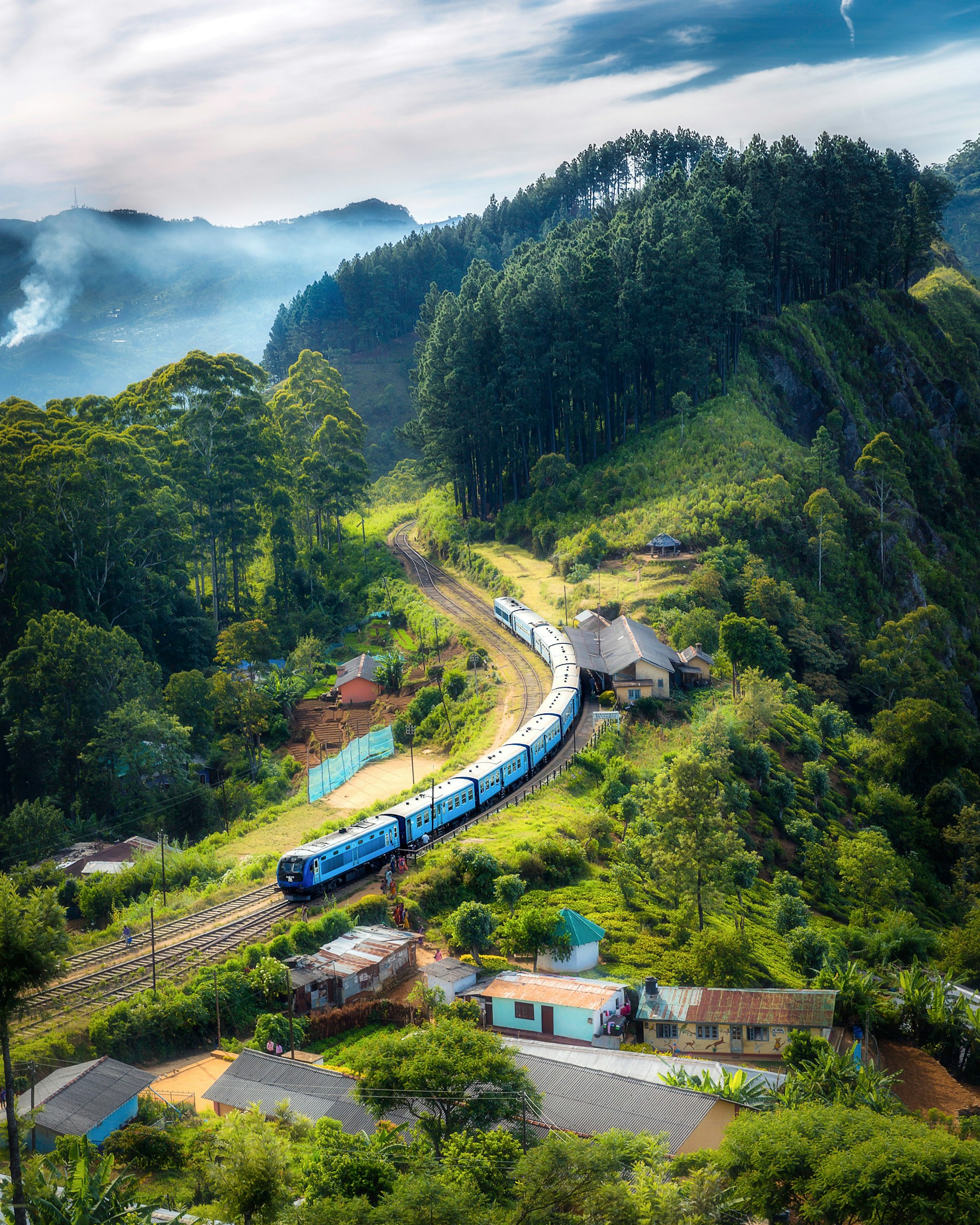 train surrounded by trees