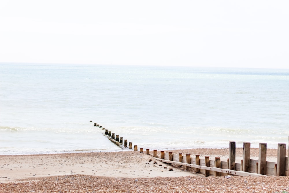 gray wooden dock