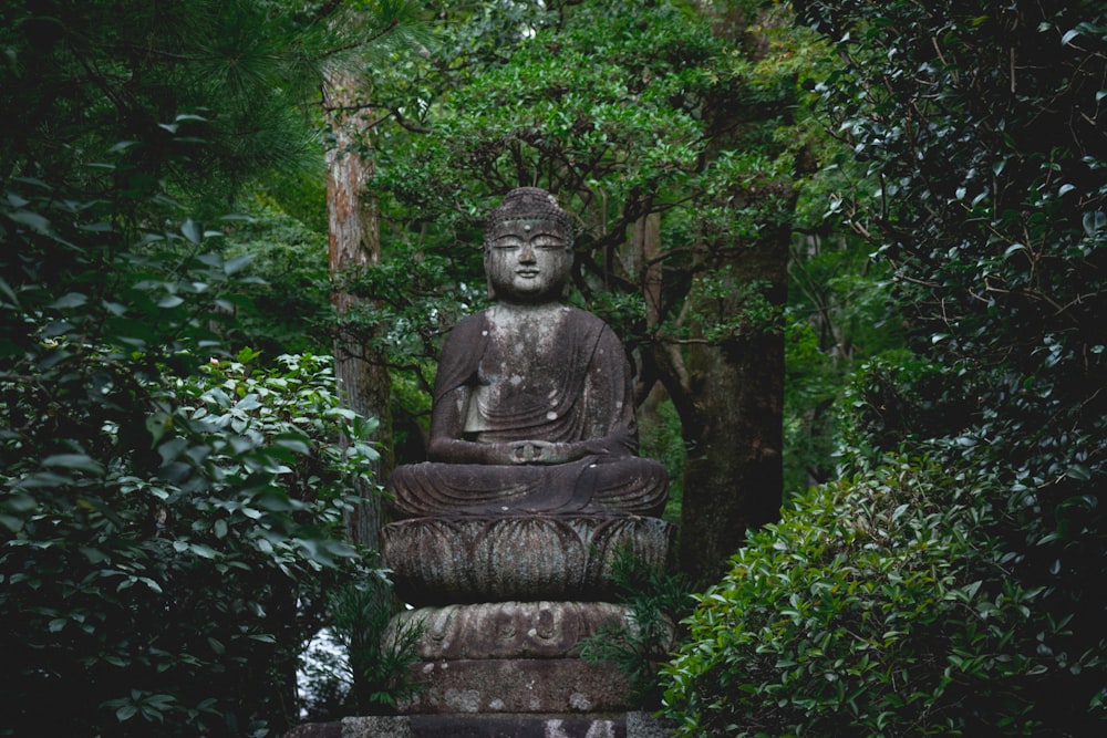 Buddha statue near trees