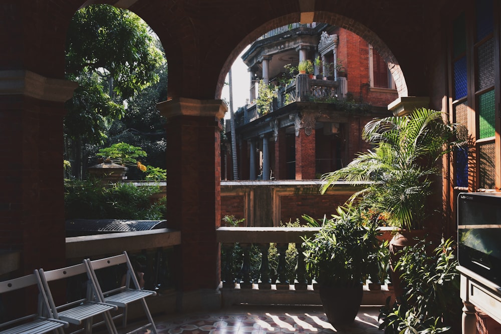 potted plants near arch window