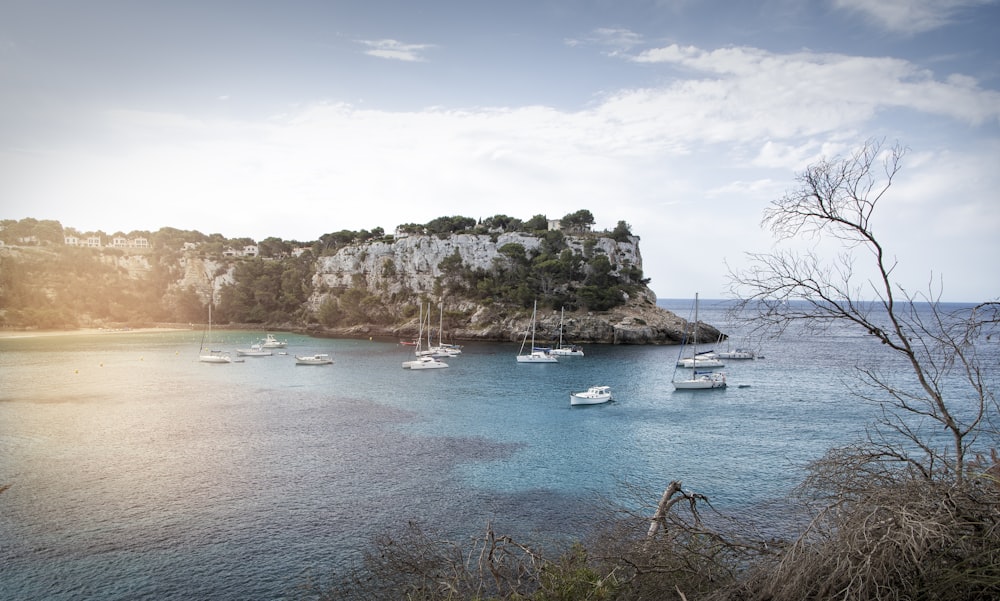 white boats in blue sea