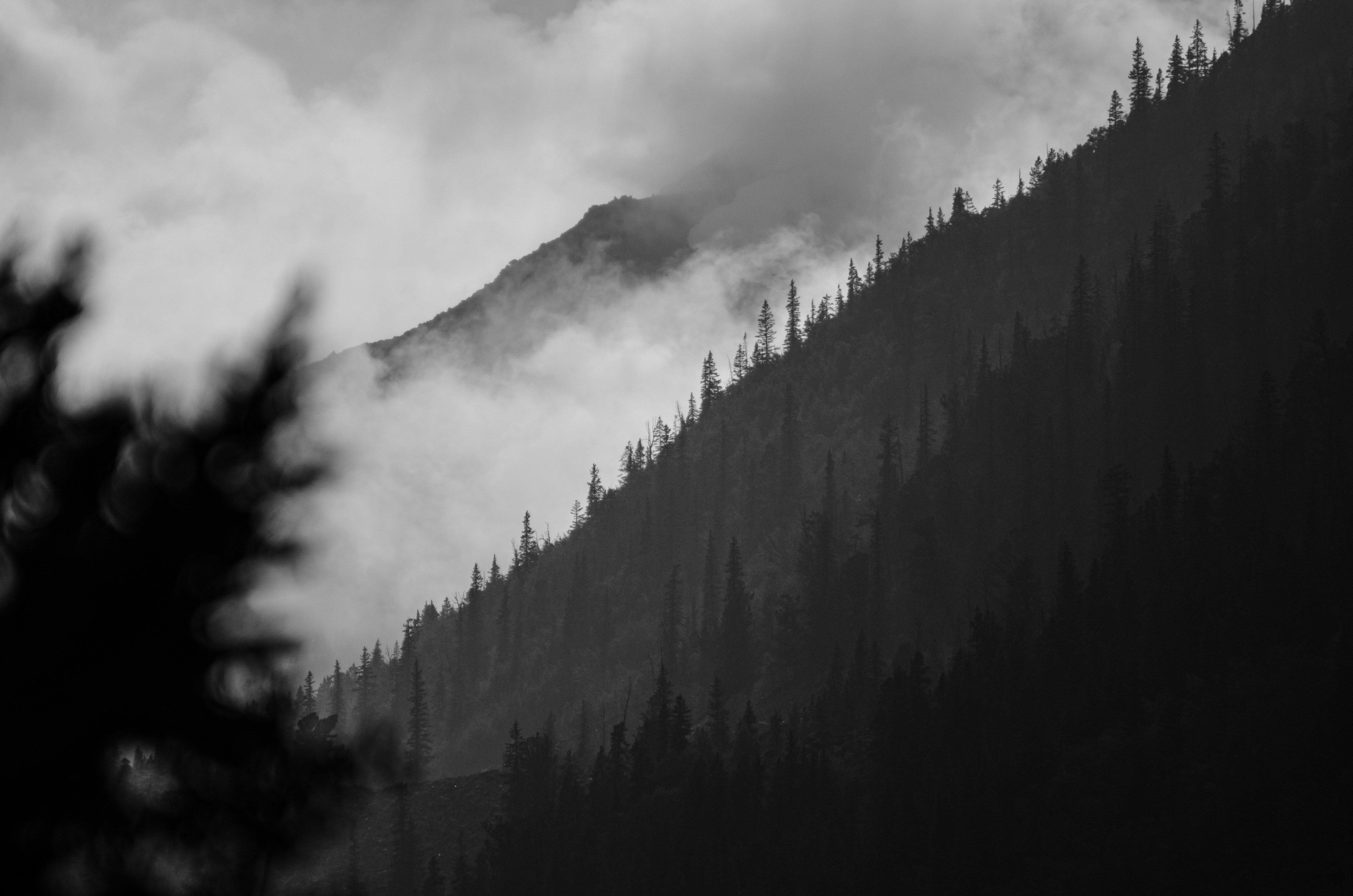 Photo by breedenkyle