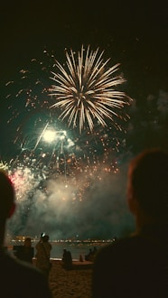 people watching fire work display