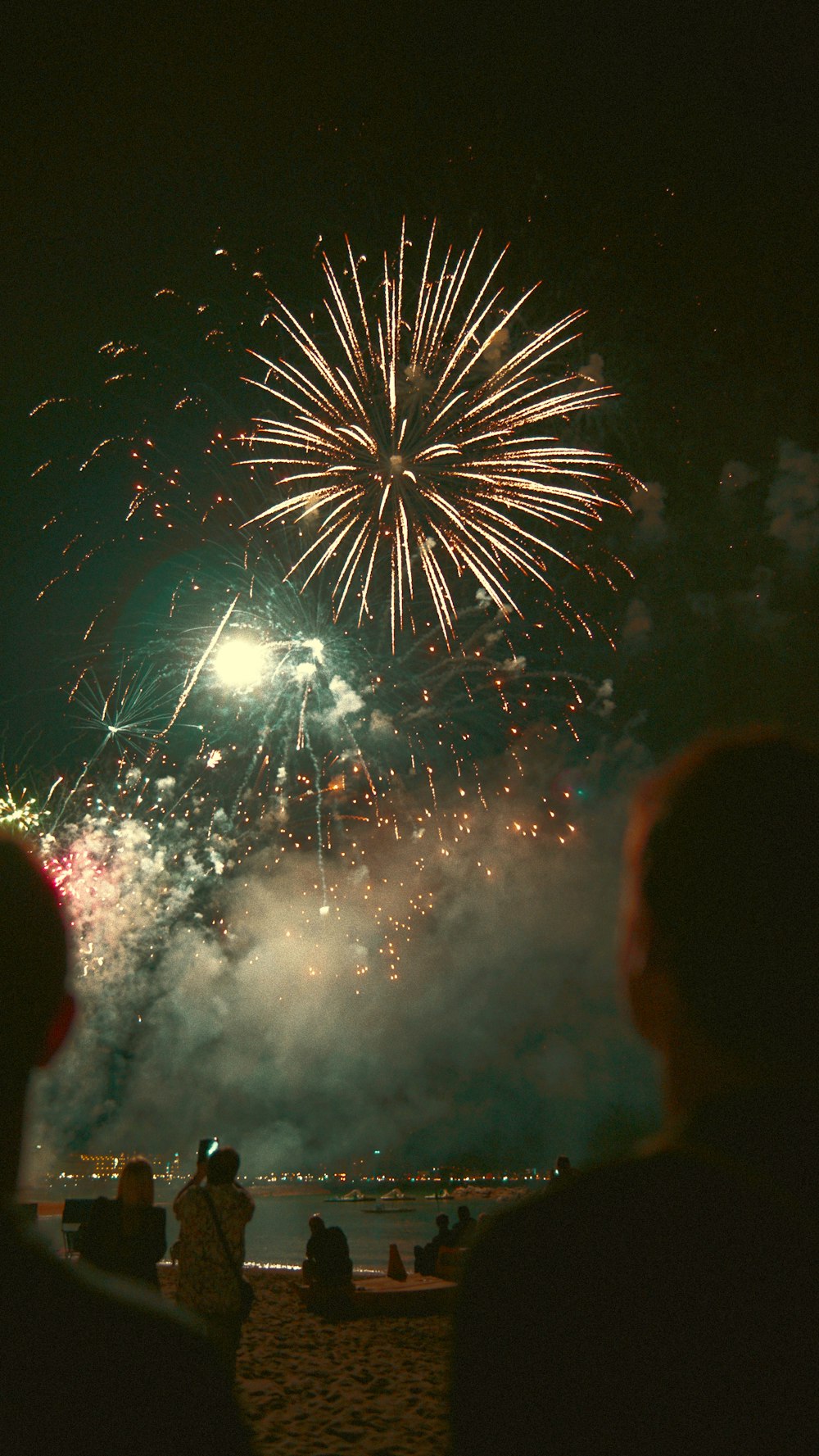 people watching fire work display