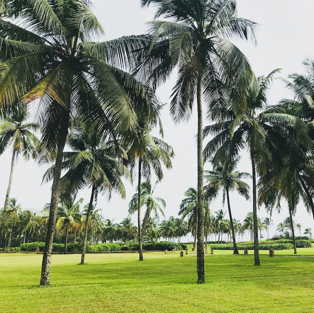 Tropics photo spot Unnamed Road Agonda