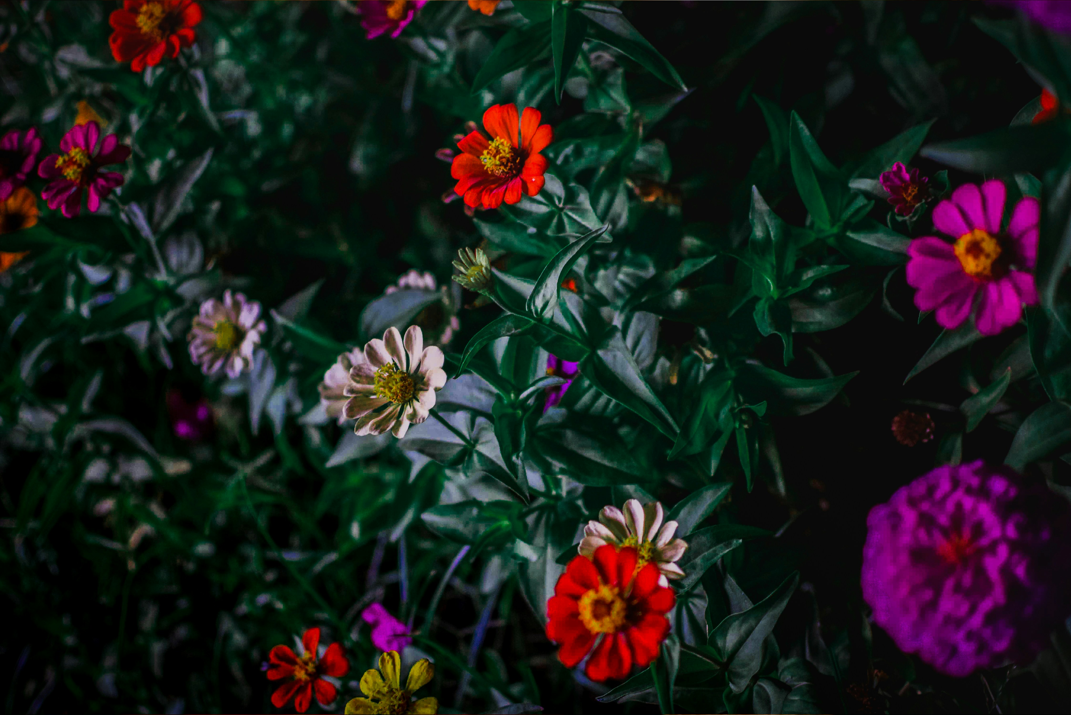 Photo by hikarinoshita