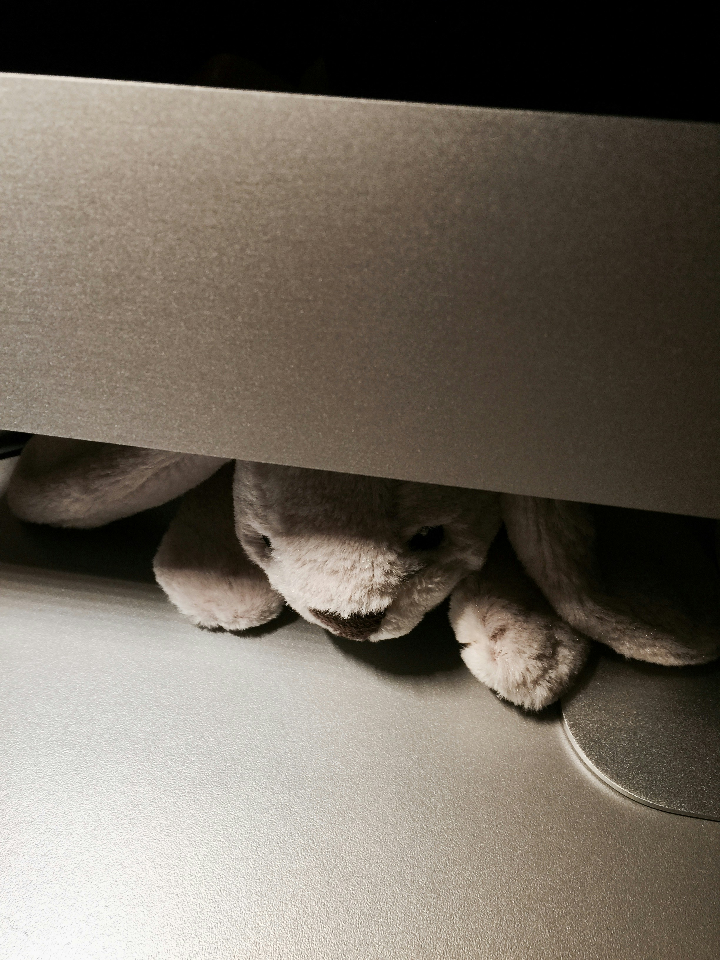 brown puppy plush toy