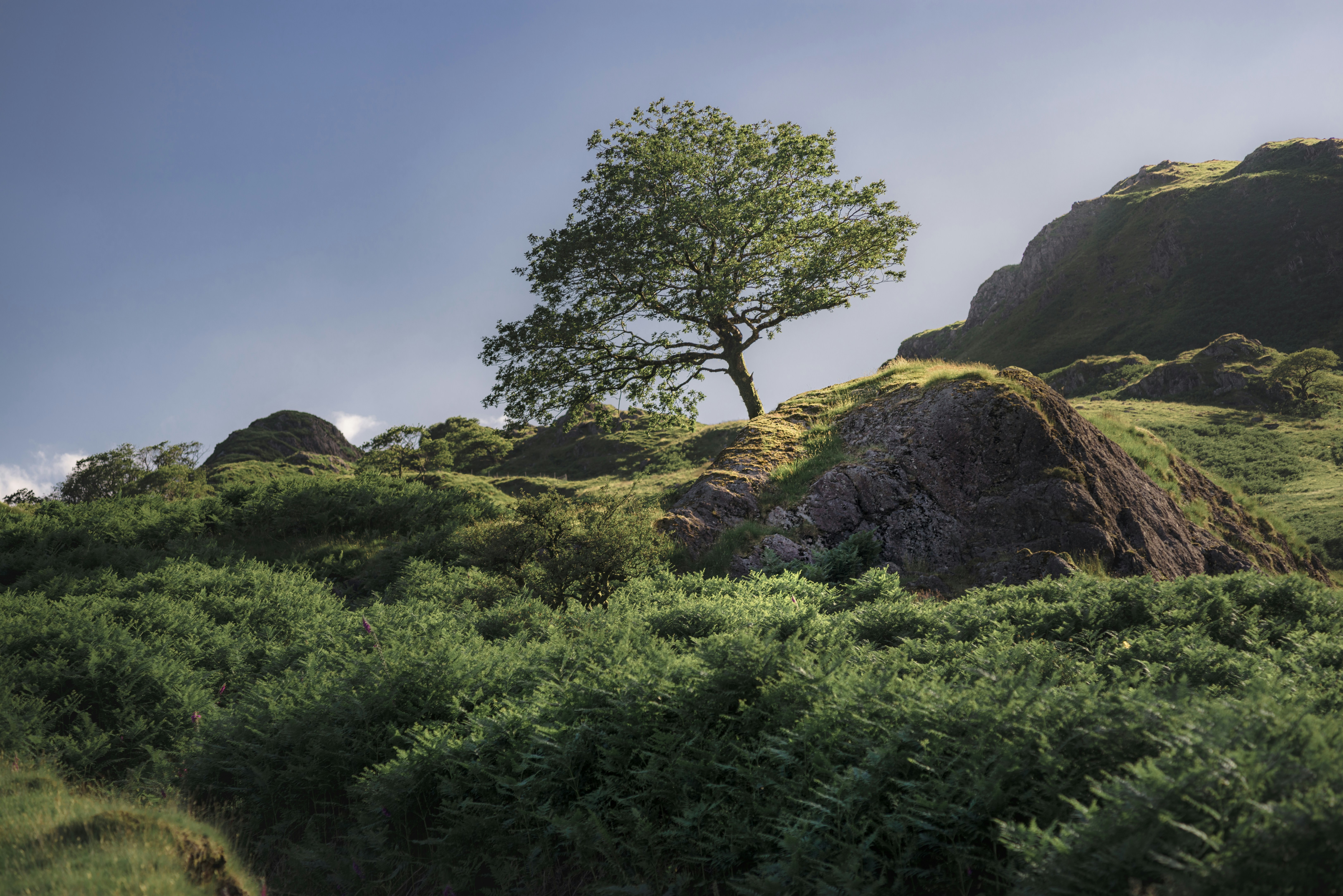 Photo by danielsessler