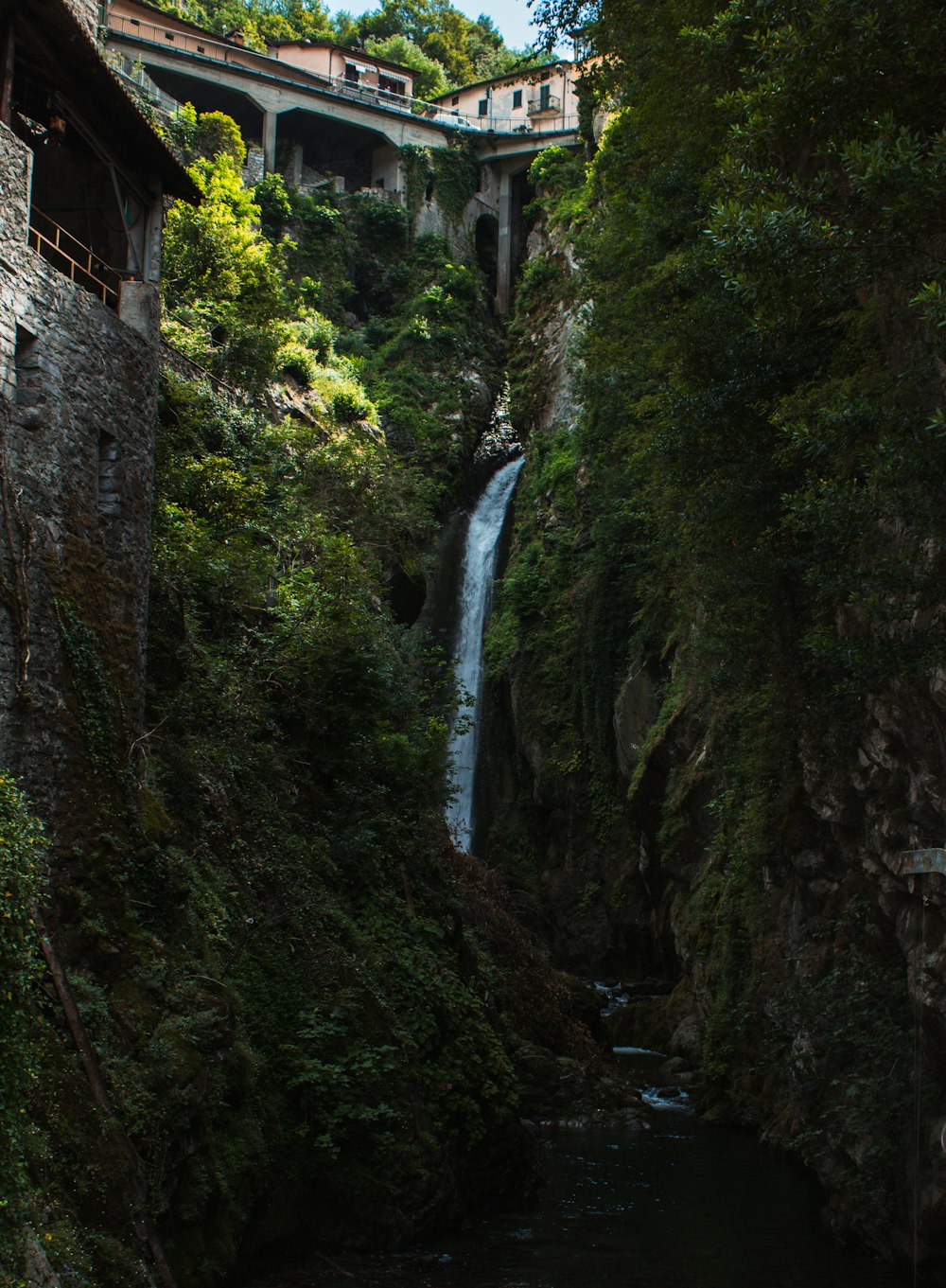 waterfalls with green-leafed plants