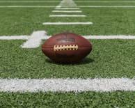 brown and black Wilson football
