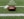 brown and black Wilson football