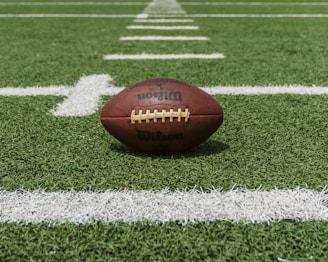 brown and black Wilson football