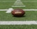 brown and black Wilson football