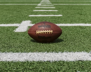 brown and black Wilson football