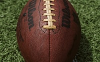 brown Wilson American football