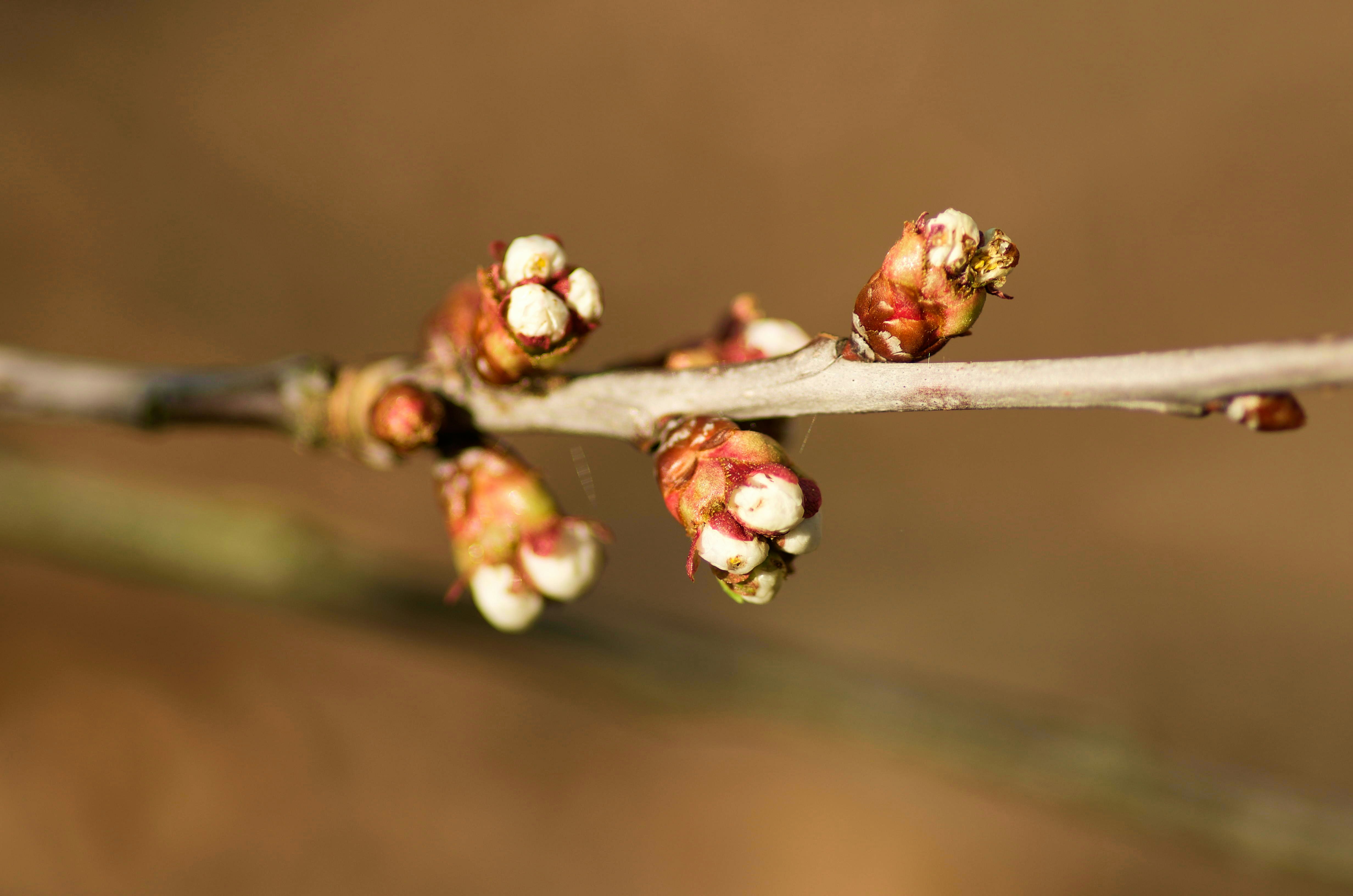 Photo by ingodoerrie