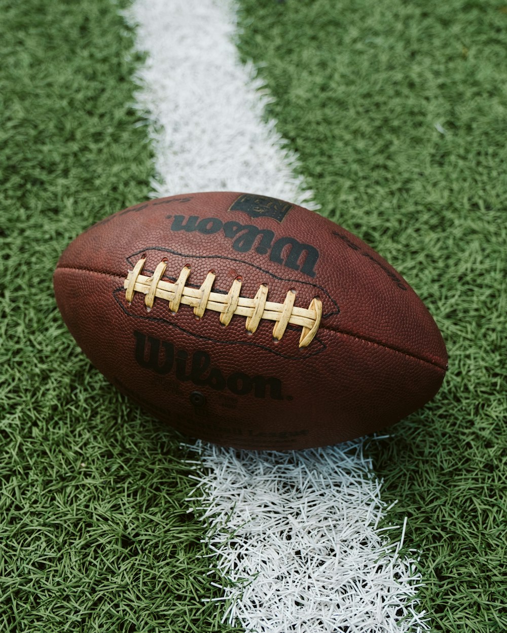 芝生の上の茶色のウィルソンアメリカンフットボール