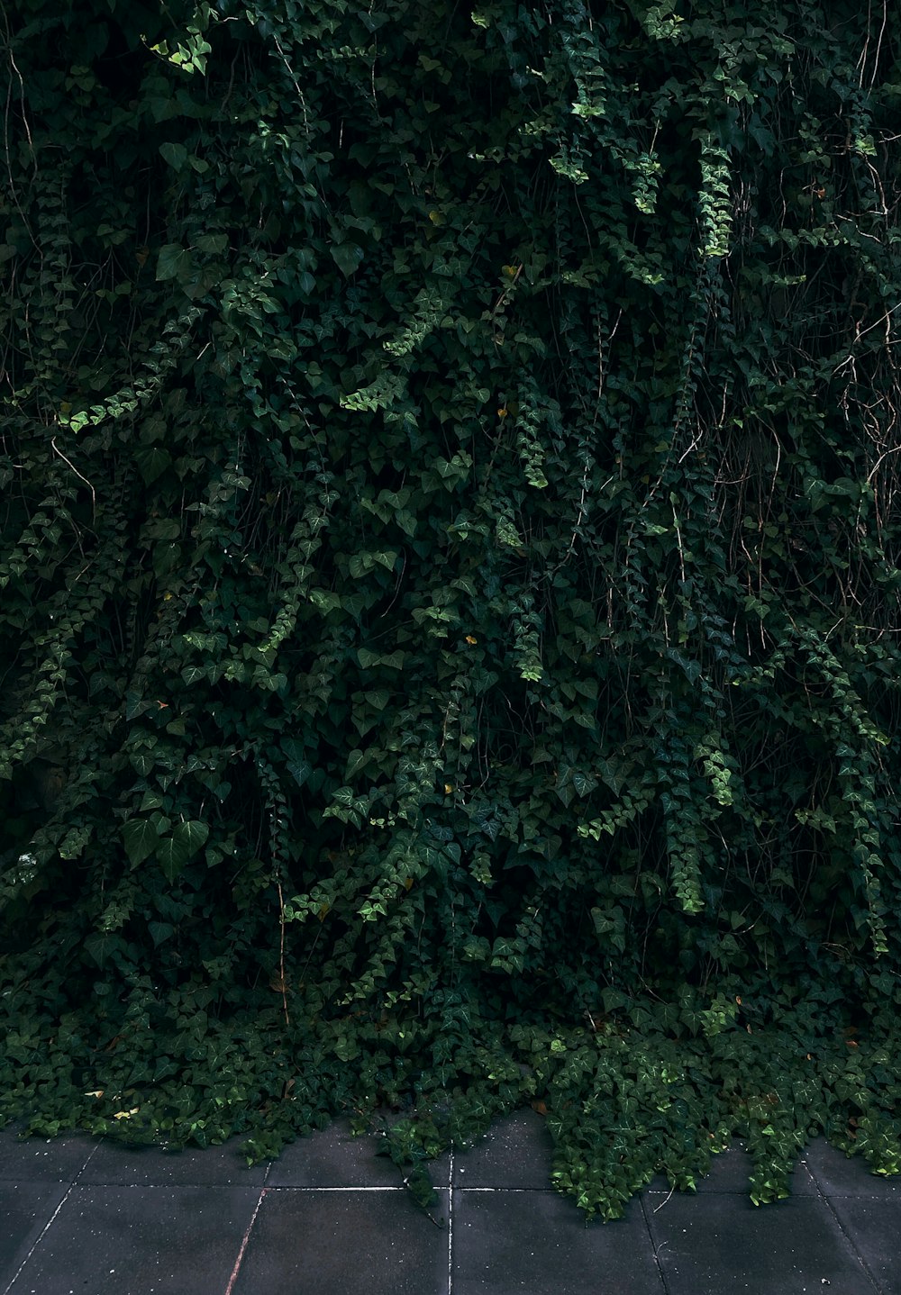 a woman sitting on a bench in front of a green wall