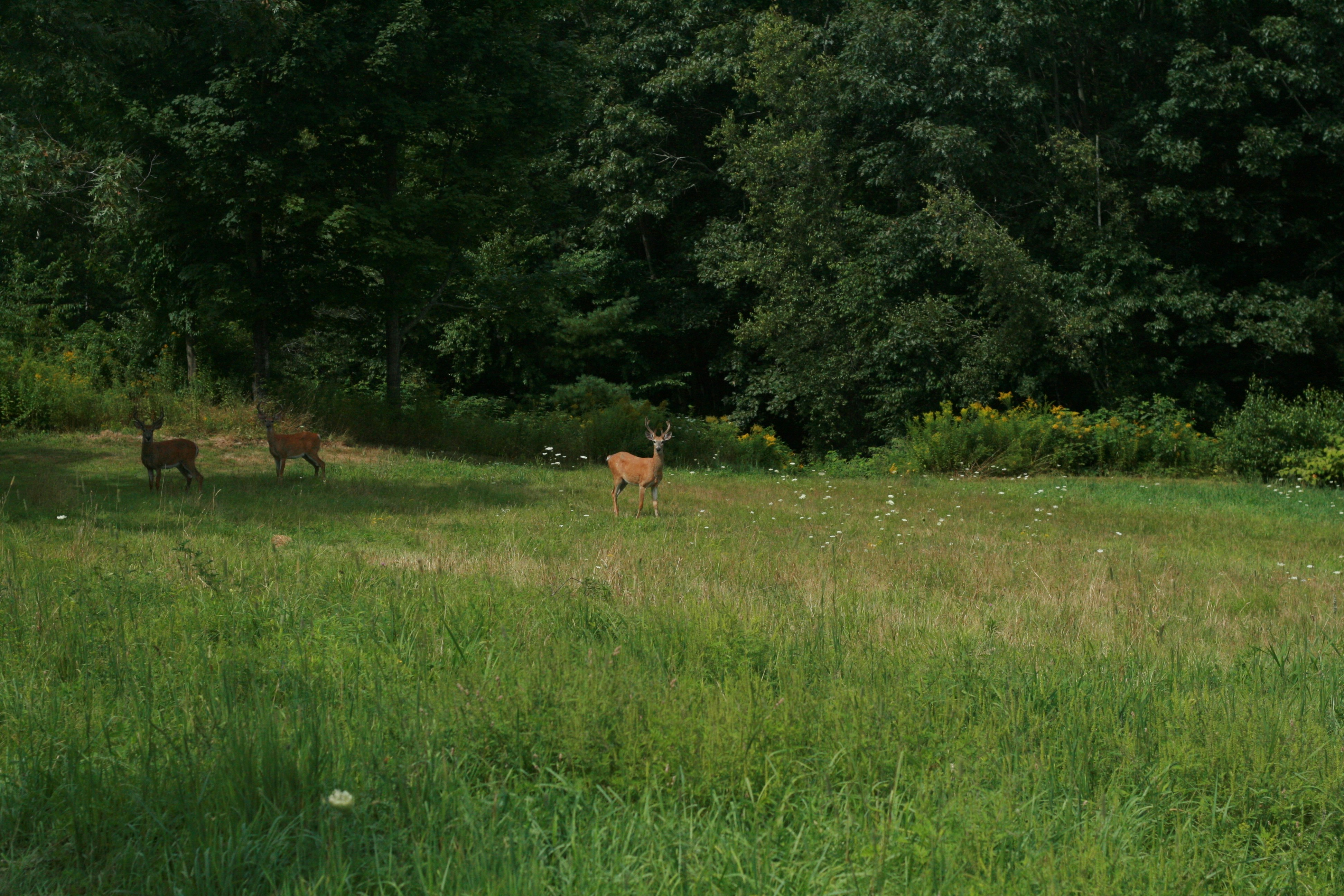 Photo by madeline11